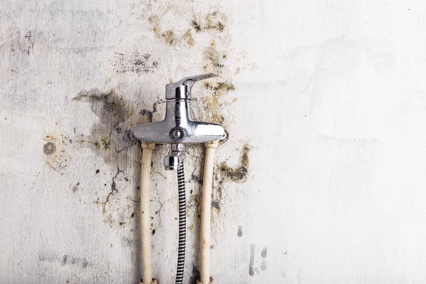 Best DIY Mold Remediation Support Services in Mar Mac, NC
