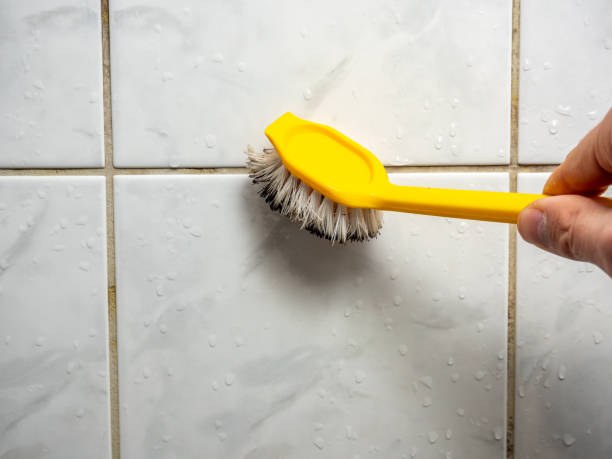 Best Post-Remediation Services in Mar Mac, NC