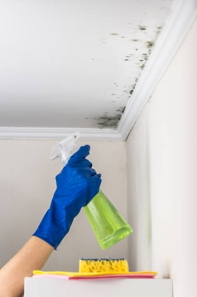 Best Industrial Mold Remediation in Mar Mac, NC